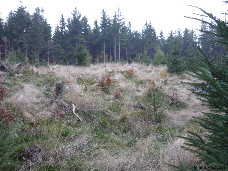 P1040975
